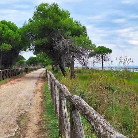 Seafront With Terrace Апартаменты Бибионе